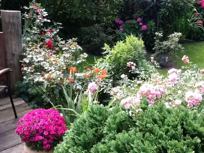 Ein Garten an der Unterkunft Ferienwohnung Malvenhaus