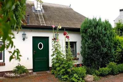 Ein Garten an der Unterkunft Birkenstraße 10 Fischerhus