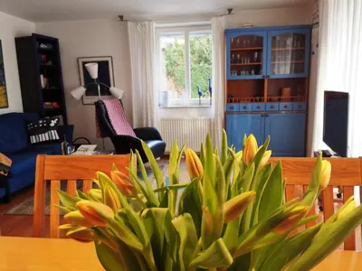 TV/Unterhaltungsangebot in der Unterkunft Birkenstrasse 06i Wohnung 4