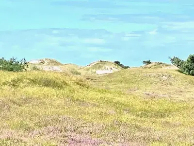 Naturlandschaft in der Nähe des Ferienhauses