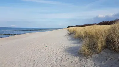 Naturlandschaft in der Nähe der Ferienwohnung
