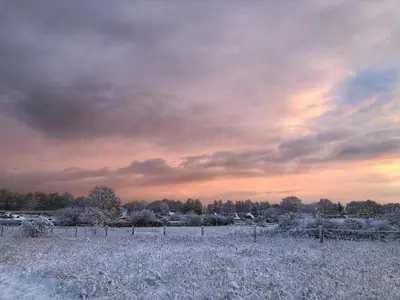 Meridiamus 1 - Ferienhäuschen in Boddennähe im Winter