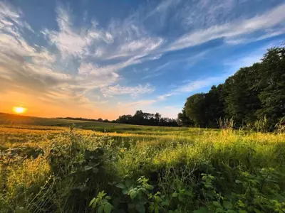 Naturlandschaft in der Nähe der Ferienwohnung