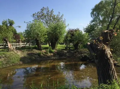 Naturlandschaft in der Nähe des Ferienhauses