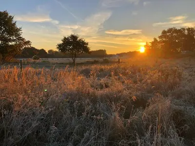Blick auf den Sonnenuntergang/Sonnenaufgang von des Ferienhauses aus oder aus der Nähe