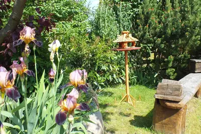 Ein Garten an der Unterkunft Ferienwohnungen im Klönhus
