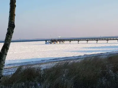 Grundriss der Unterkunft Zingst PUR Apartment 3