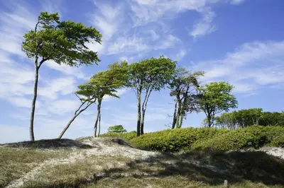 Naturlandschaft in der Nähe der Ferienwohnung