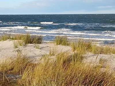 Naturlandschaft in der Nähe der Ferienwohnung