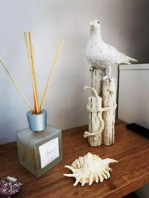 Grundriss der Unterkunft UNSERE PERLE IM ZENTRUM von Zingst MIT SÜDTERRASSE