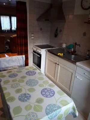 Küche/Küchenzeile in der Unterkunft Ferienhaus Waldblick