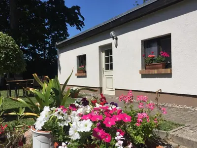 Ein Garten an der Unterkunft Ferienhaus an der südlichen Boddenküste