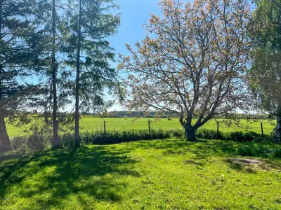Ein Garten an der Unterkunft Tiny Häuschen Land-Idyll