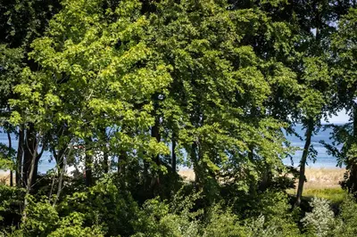 Naturlandschaft in der Nähe der Ferienwohnung