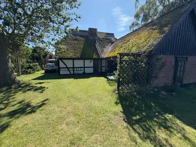 Ein Garten an der Unterkunft TIPP - Fischerhuus am Darß - Ostsee Urlaub gratis Parkplatz, Wlan