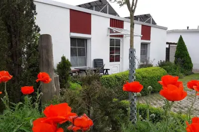 Ein Garten an der Unterkunft Zwischen Meer und Bodden App 04