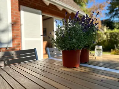 Ein Garten an der Unterkunft Strandgut