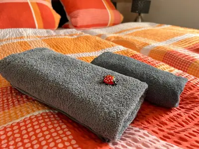 Ein Bett oder Betten in einem Zimmer der Unterkunft Karina I