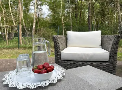 Ein Garten an der Unterkunft Am Deich 31 Haus Sommerliebe