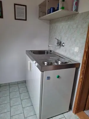 Küche/Küchenzeile in der Unterkunft Ferienwohnung am Badesteig