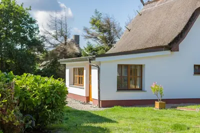 Ein Garten an der Unterkunft Reethaus in Dierhagen