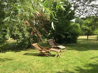 Ein Garten an der Unterkunft Ferienhaus in Bartelshagen II