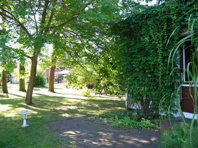 Ein Garten an der Unterkunft Ferienhaus mit Garten am Bodstedter Bodden