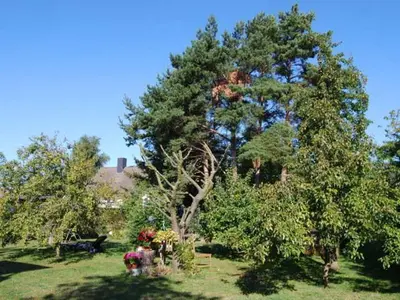 Ein Garten an der Unterkunft Ferienhaus mit Garten am Bodstedter Bodden
