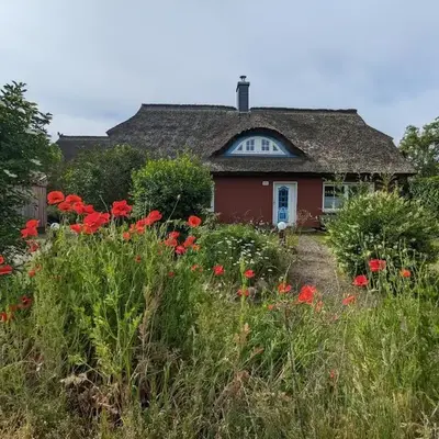 Aantengössel