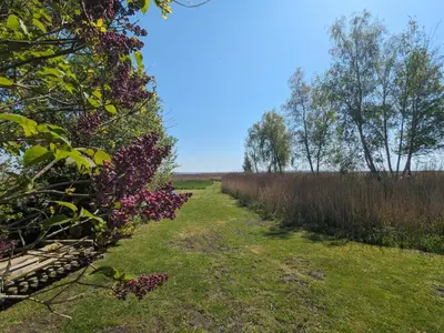 Ein Garten an der Unterkunft Boddenblick