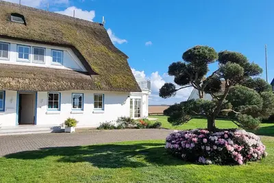 Ein Garten an der Unterkunft Boddenland 1
