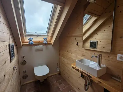 Ein Badezimmer in der Unterkunft Borner Holzhaus