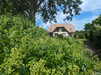 Ein Garten an der Unterkunft Born 4 you