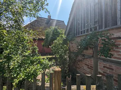 Ein Garten an der Unterkunft Das Darßhaus