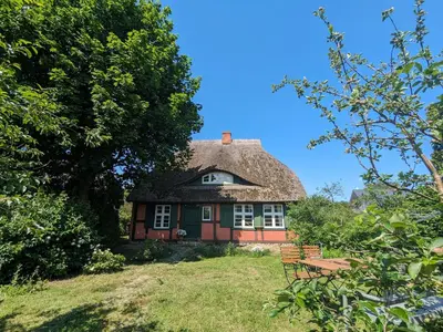 Ein Garten an der Unterkunft Das Darßhaus
