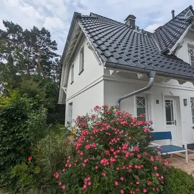 Dünenrose