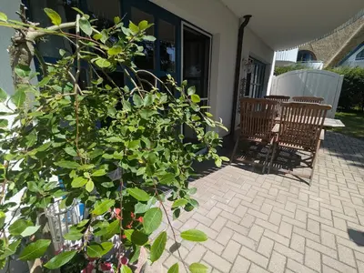 Ein Garten an der Unterkunft Freibeuter