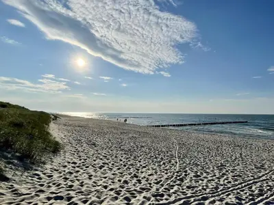 Grundriss der Unterkunft Holiday home in Zingst with swimming pool
