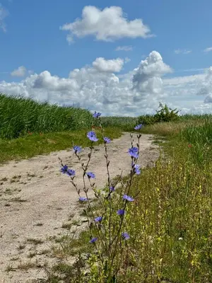 Naturlandschaft in der Nähe der Ferienwohnung
