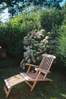 Ein Garten an der Unterkunft Sünn un See - Hortensienblick