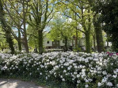 Grundriss der Unterkunft No 7 Villa Seeluft