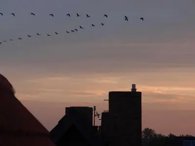 Blick auf den Sonnenuntergang/Sonnenaufgang von der Ferienwohnung aus oder aus der Nähe