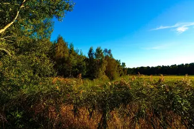 Naturlandschaft in der Nähe des Ferienhauses