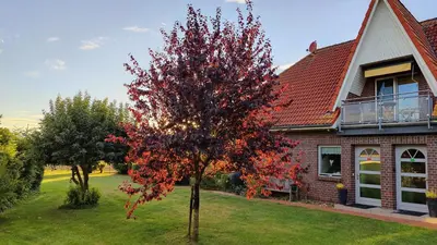Ein Garten an der Unterkunft Ferienhaus Mantuja Ferienwohnung II