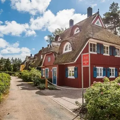 Muschel