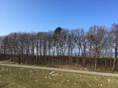 Naturlandschaft in der Nähe des Ferienhauses