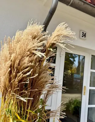 Ein Garten an der Unterkunft Hafenstraße 34 MEERverliebt