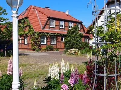 Ein Garten an der Unterkunft Birkmaase 12 Kapitänshaus Jacqueline 4-Sterne Komfort FeWo im EG rechts