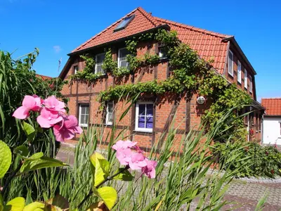 Ein Garten an der Unterkunft Birkmaase 12 Kapitänshaus Jacqueline 4-Sterne Komfort FeWo im EG rechts