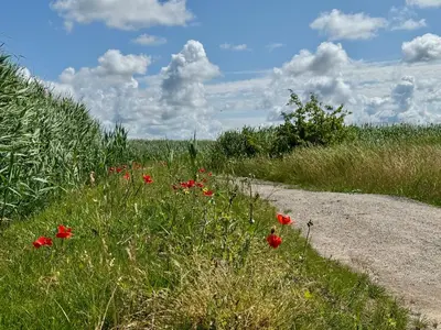 Naturlandschaft in der Nähe der Ferienwohnung